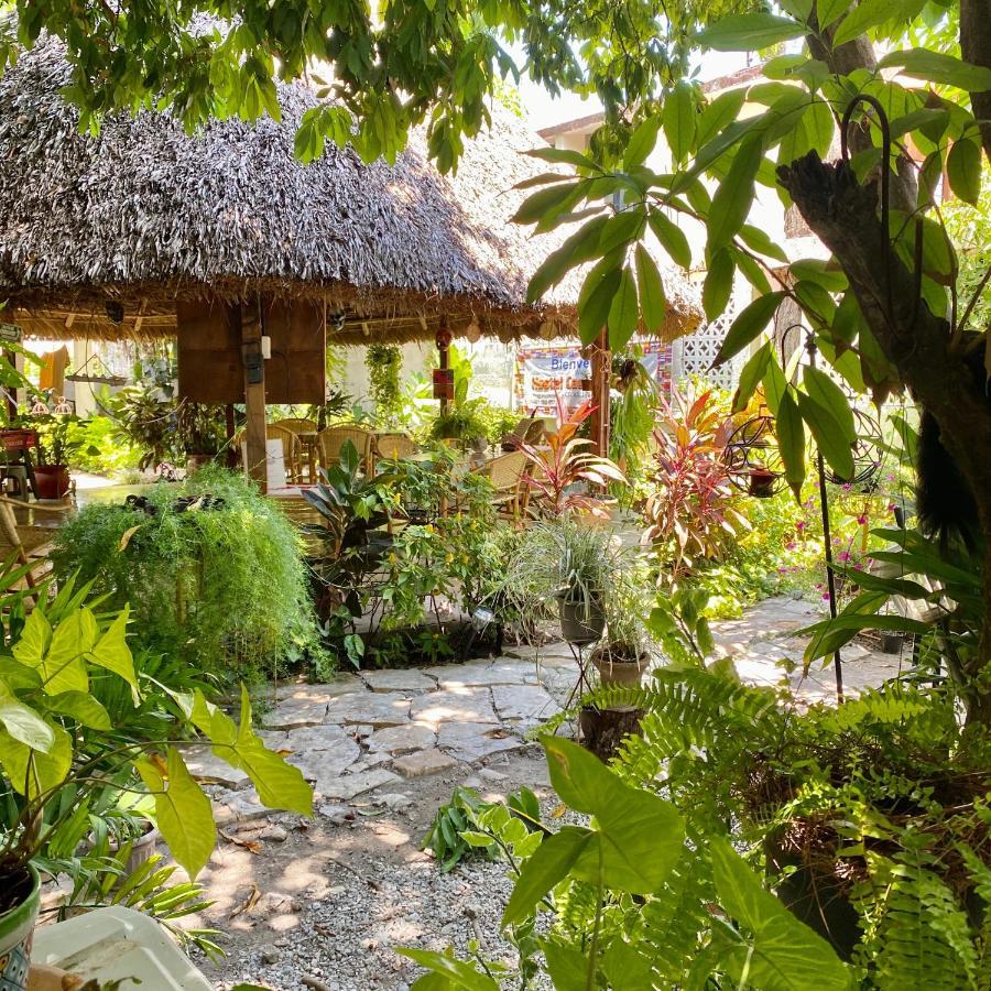 Hostal Casa Huasteca 시우다드 발레스 외부 사진
