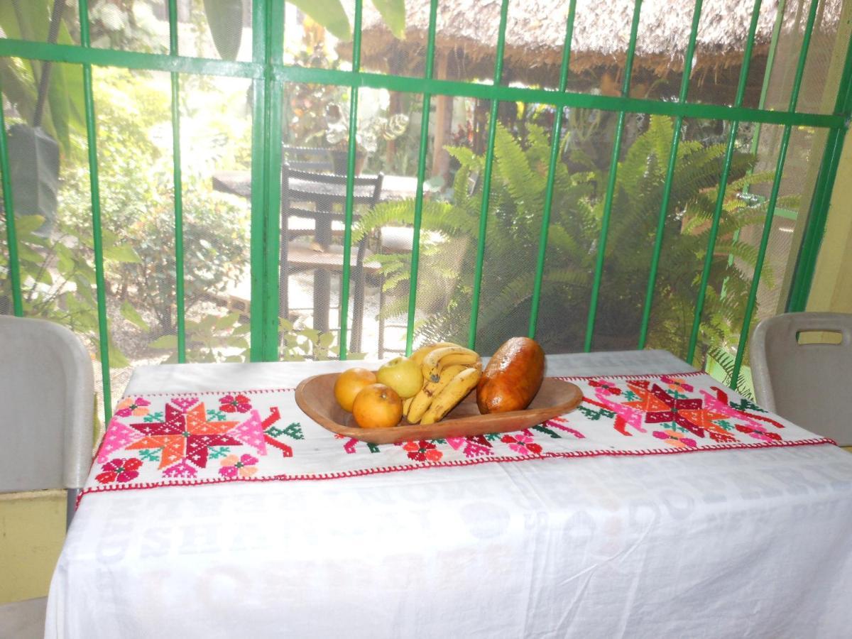 Hostal Casa Huasteca 시우다드 발레스 외부 사진