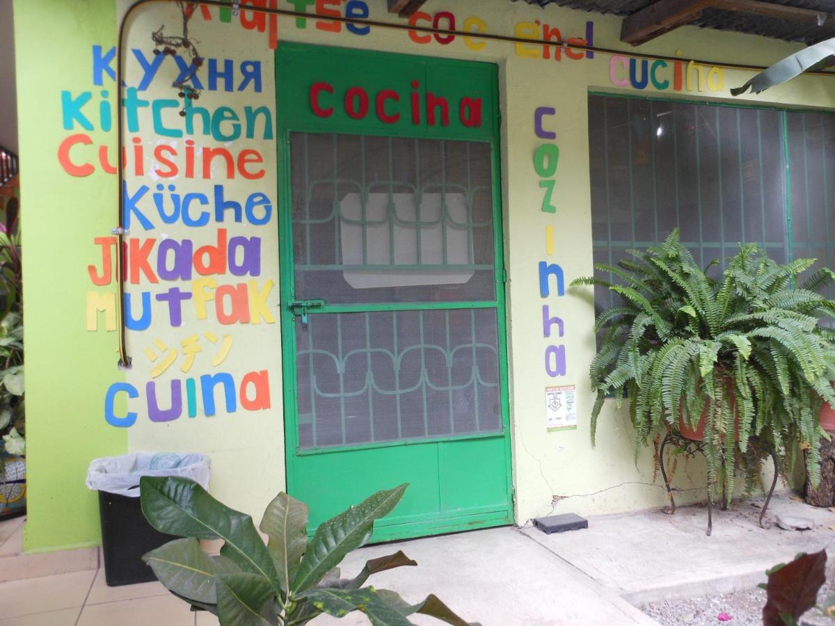 Hostal Casa Huasteca 시우다드 발레스 외부 사진