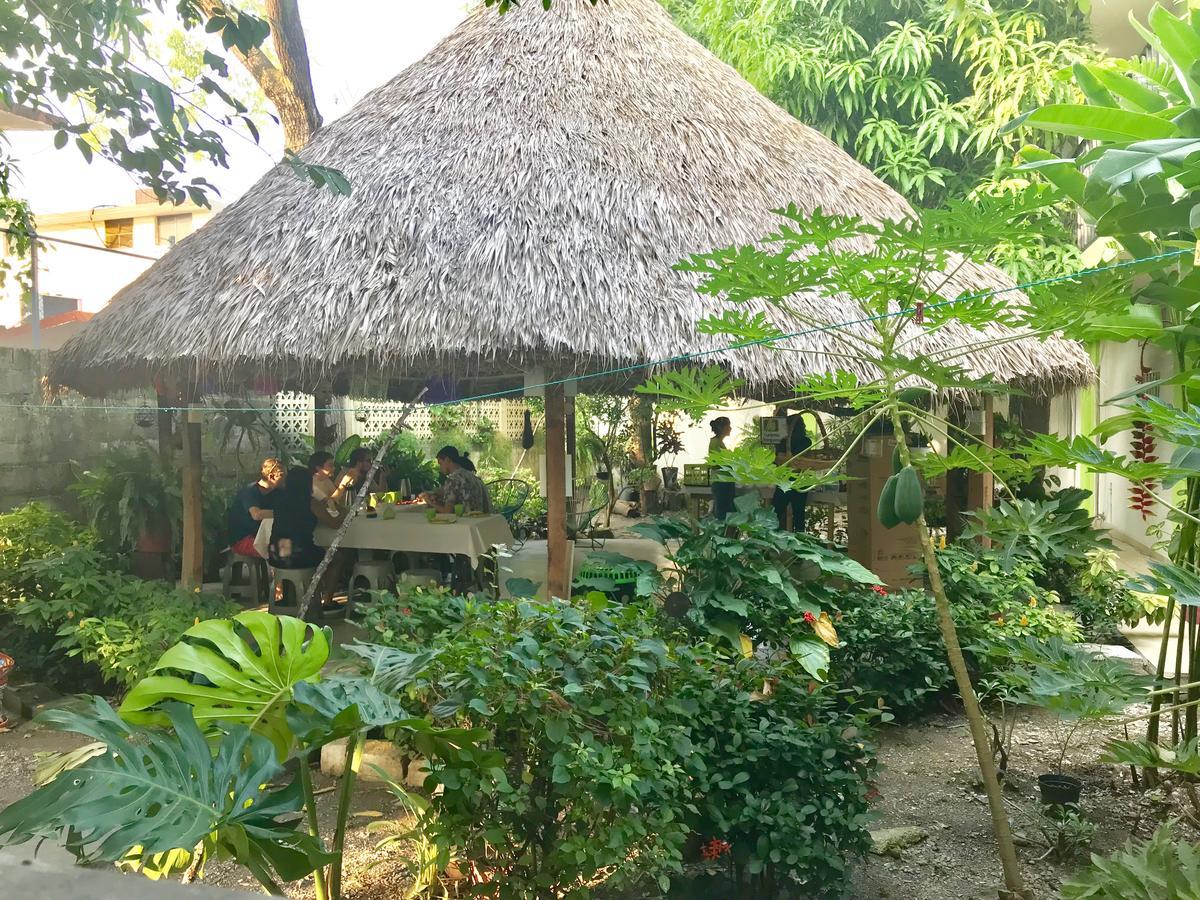 Hostal Casa Huasteca 시우다드 발레스 외부 사진